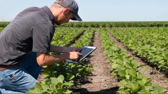 Sortear la crisis: así se invierte en fideicomisos agropecuarios que aseguran ganancias del 10% en dólares