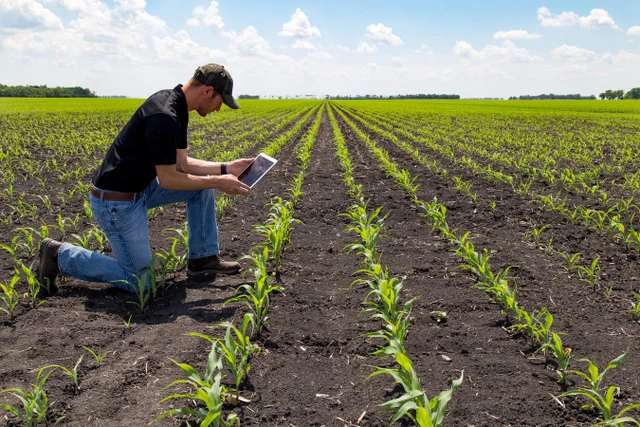 ¿Cómo es la situación en el país del ecosistema agtech, uno de los que más crece en todo el planeta?