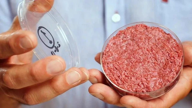 Nuevas tendencias: qué es "Granja Celular", y cuál es su relación con los alimentos 4.0