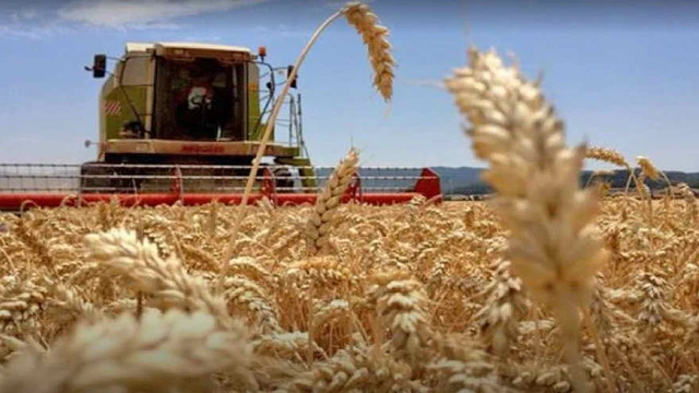 Llega un hackaton para empresas de agtech: ¿cómo podés anotarte?
