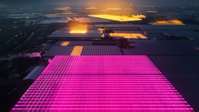 La Argentina, ¿sigue siendo el granero del mundo?: mirá lo que dice este video que explotó en las redes