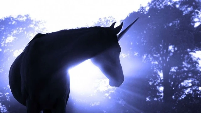 Crece el número de "unicornios cripto": qué se puede esperar de este ecosistema tan dinámico