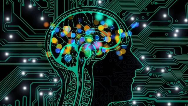 Big Data: cómo usan la "ciencia de datos" Mercado Libre y PedidosYa para mejorar sus negocios