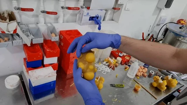 De Argentina al mundo: conocé Mirai 3D, la empresa que crea órganos humanos con impresión 3D