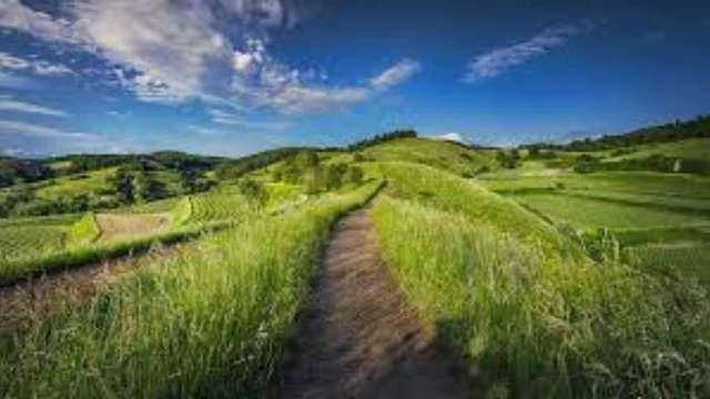 Renacimiento Rural: ¿la mejor alternativa para el cambio económico y social en la región?