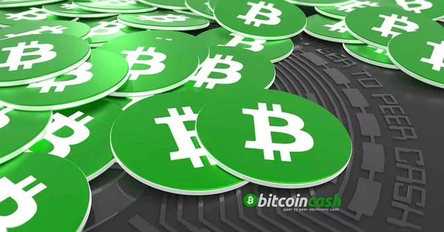 Bitcoin Cash sigue subiendo: qué depara el futuro cercano para esta criptomoneda de referencia