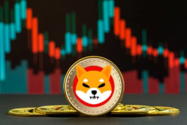 Shiba Inu, otra de las criptomonedas ganadoras del momento: ¿por qué se disparó un 1.000%?