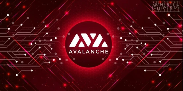 ¿Dogecoin pierde el podio? : Conocé "Avalanche" la nueva cripto que la rompe y no para de crecer