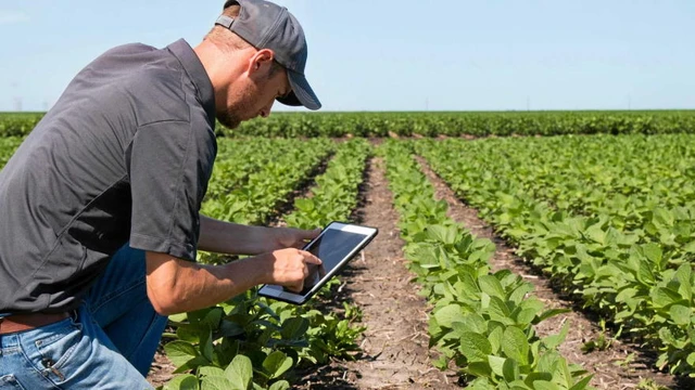 Diseñaron un dispositivo para certificar calidad de cosechas y dieron vuelta el modelo de negocios de las Agtech