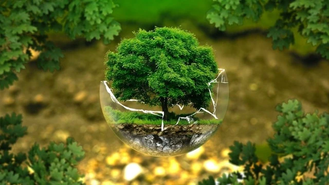 Qué son las "Ecofintechs" y cómo combinan las finanzas descentralizadas con la remediación ambiental