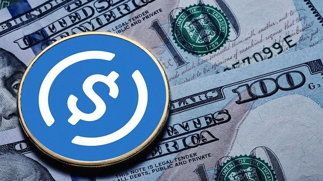 USDC crece con fuerza: con un nuevo récord, se posiciona como la principal competidora de USDT