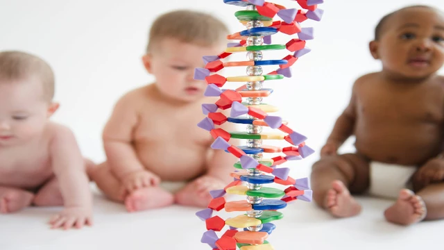 Se quieren adueñar de la evolución humana: qué tiene planeado millonarios como Elon Musk