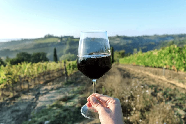 Dime cómo sos y te diré qué cepa te gusta: este sitio te recomienda el vino ideal usando Inteligencia Artificial