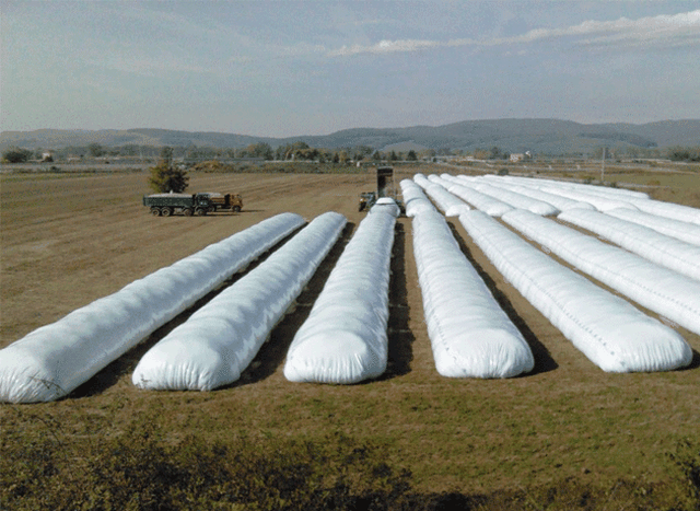 La liquidación agrícola mejoró, pero viene a un ritmo más lento de lo esperado, por la reticencia de los productores a vender con este tipo de cambio