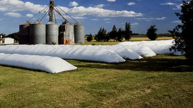 La soja sigue en las silobolsas: ante la expectativa de medidas, el campo entró en parálisis comercial