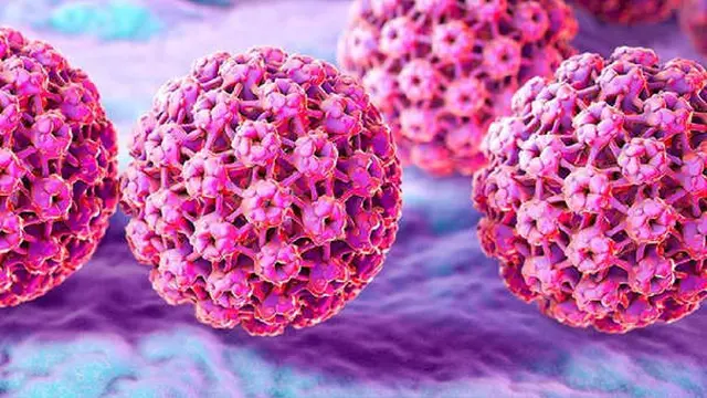 El VPH causa aproximadamente el 80% de los casos de  cáncer de cuello de útero 