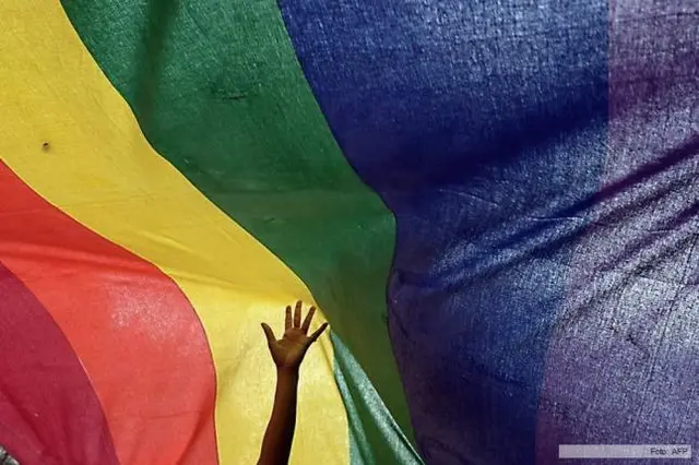 La sigla LGBTIQ+ hace referencia a un colectivo y tiene una bandera propia