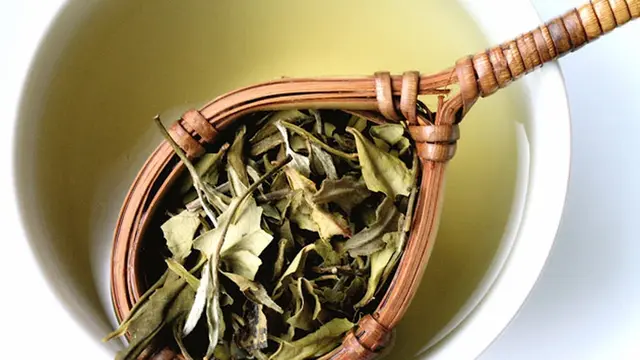 Tomar té verde puede ayudar a quemar calorías porque aumenta la diuresis