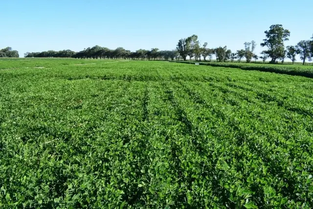 Los dólares que el Gobierno espera del campo se ven potenciados por las eficiencias que se ganan a través de las agtech