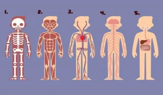 La parte del cuerpo que elijas definirá cómo eres y qué deberías cambiar en tu vida