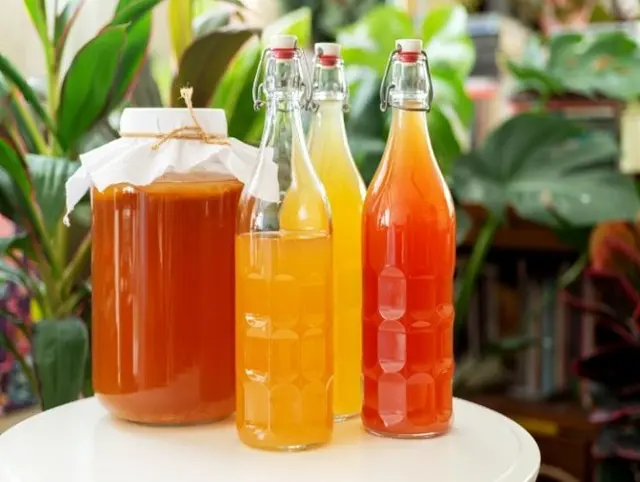 Kombucha, la bebida que está de moda: qué es y cuáles son sus beneficios
