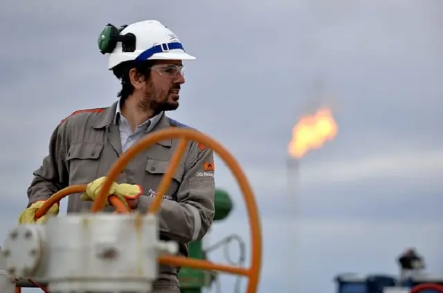 Pan American Energy es una empresa concentrada en la energía