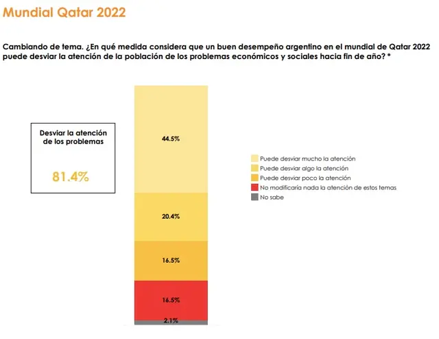 El 81,4% de los consultados estiman que si a la Selección le va bien, se desviará la atención de problemas económicos