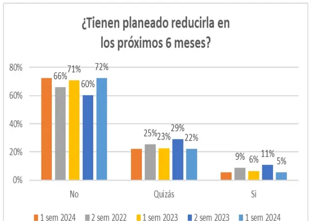 Encuesta Pymes de IAE Business School, segundo semestre de 2024
