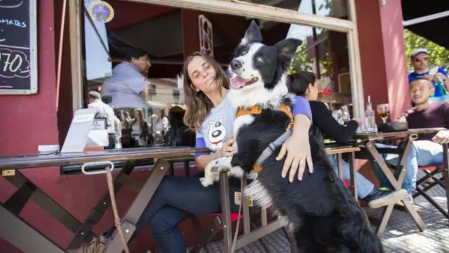 se permiten perros en los establecimientos de comida