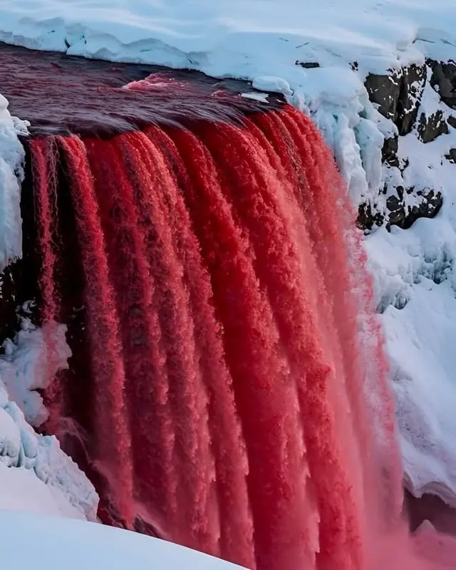 Se trata de un fenómeno natural que sorprende al mundo