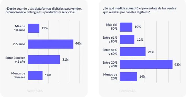 El comercio electrónico se convirtió en un aliado de los comercios y las pymes en la pandemia