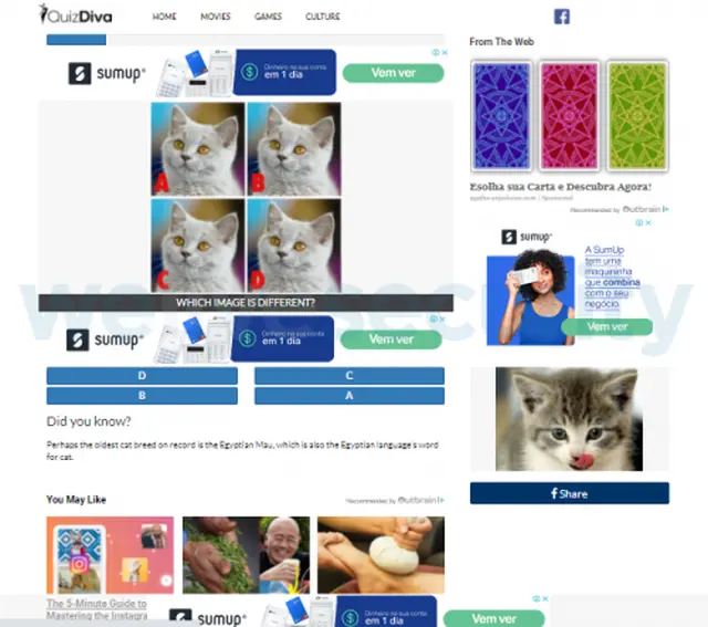Cuestionario extenso que supuestamente debe completar el usuario como parte del proceso de verificación para obtener los datos de WhatsApp de la otra persona.