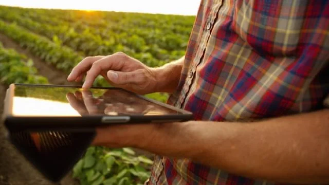 Argentina: expertos impulsan el uso de blockchain en el agro para mejorar el control y la trazabilidad