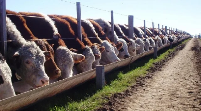 Entra en vigencia el acuerdo Mercosur-UE: proyectan alza exportadora para Argentina con salto del 80%
