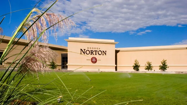 bodegas norton