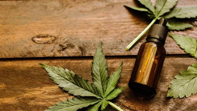 frasco de cannabis medicinal
