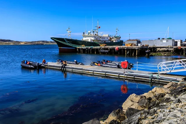 Advierten que flotas extranjeras frente a Argentina capturan hasta cuatro veces la pesca nacional