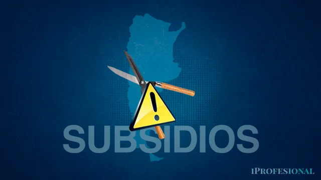 Subsidios
