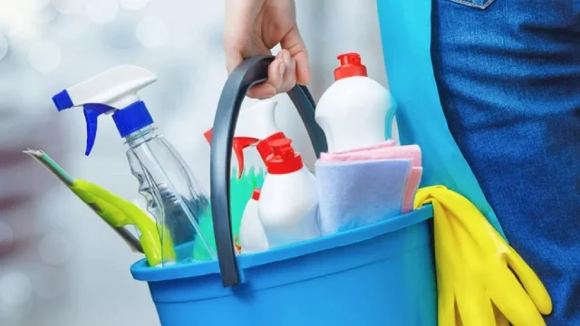 Sueldo empleada doméstica: cuánto cobra por hora, mes y aguinaldo en diciembre 2025