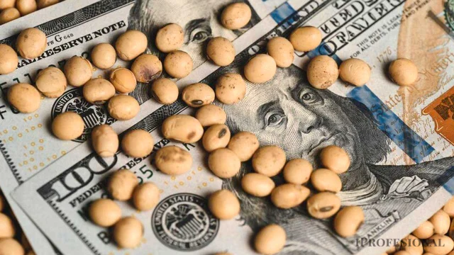 Guerra en Medio Oriente impulsa el precio de la soja y el aceite en el mercado de Chicago