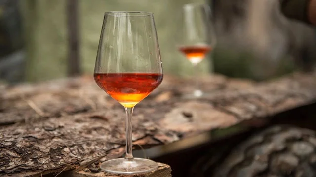 ¿El cambio climático puede arruinar el vino?: qué está pasando en los viñedos argentinos