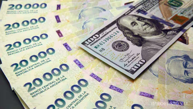 Los sueldos y una paradoja: cae el poder de compra en pesos, pero medidos en dólares no paran de crecer