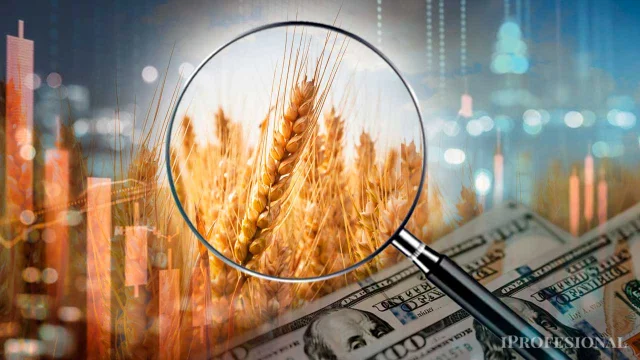 Precio de dólar “ideal” para los principales sectores exportadores, según experto