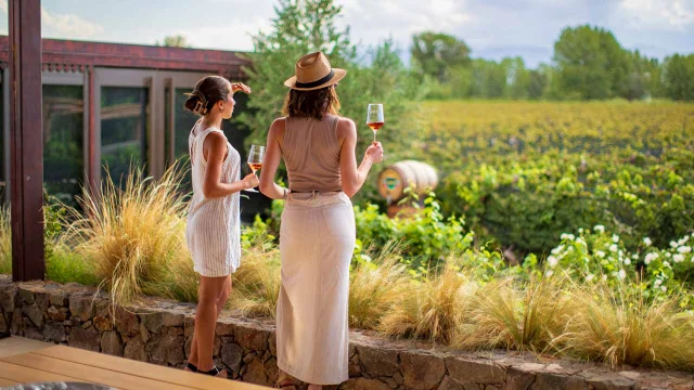 Estas son las 7 bodegas argentinas con los mejores viñedos del mundo: 6 están en Mendoza y una, en Salta