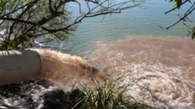 Detectan restos de medicamentos en el Río de la Plata y alertan por el impacto de la urbanización
