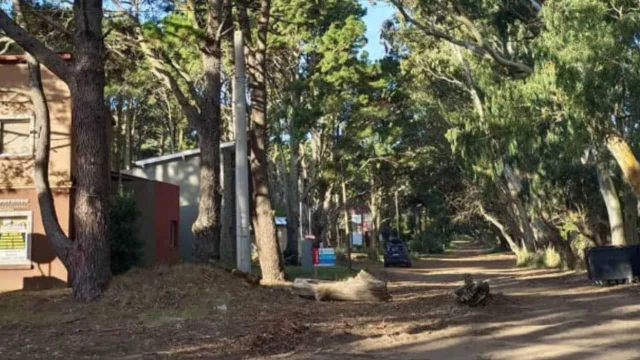 Ni Pinamar ni Villa Gesell: la playa a 4 horas de CABA que enamora por su bosque de pinos y el mar