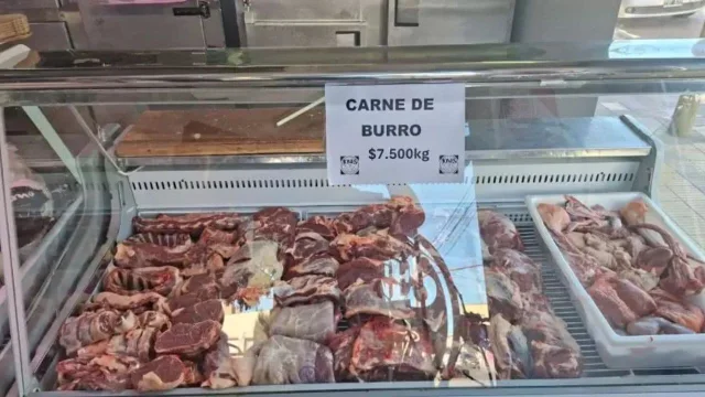 Fuerte polémica por venta de carne de burro: ¿es legal en Argentina o viola las normas?