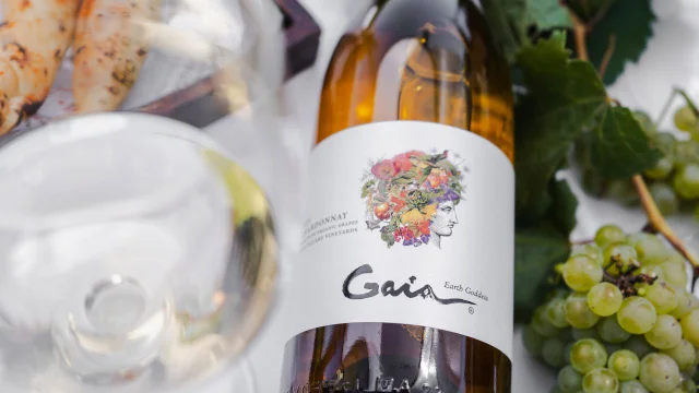 Domaine Bousquet afianza su huella en el Cuidado de la Madre Tierra