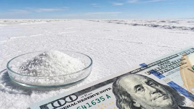 Hombre Muerto: el ambicioso proyecto para producir oro blanco en el corazón del Triángulo del litio