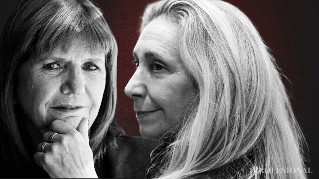 Bullrich doblegó a Karina Milei: cómo votó cada senador el pliego de Michelli, que dividió a LLA